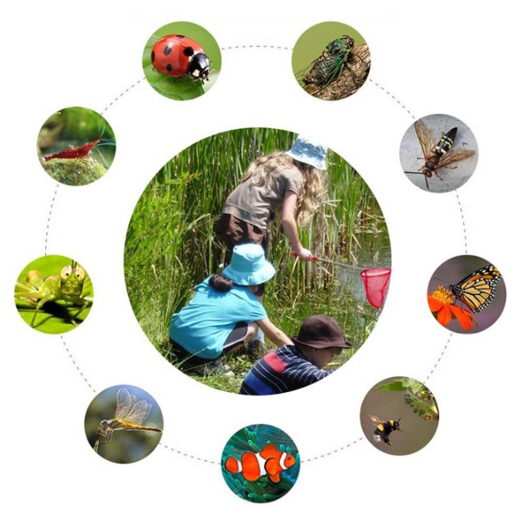 Telescopic Kids Fishing Net Fo - Landing Net Telescopic avis et prix