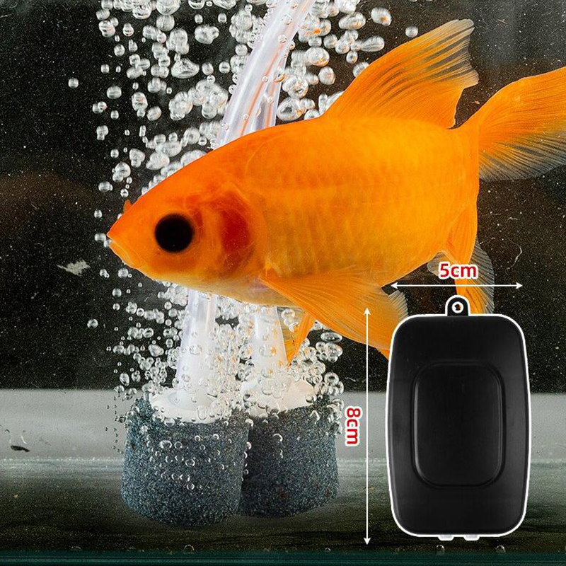Mini Aquarium Air Pump Kit Oxy - Fishing Equipment For Beginners avis et prix